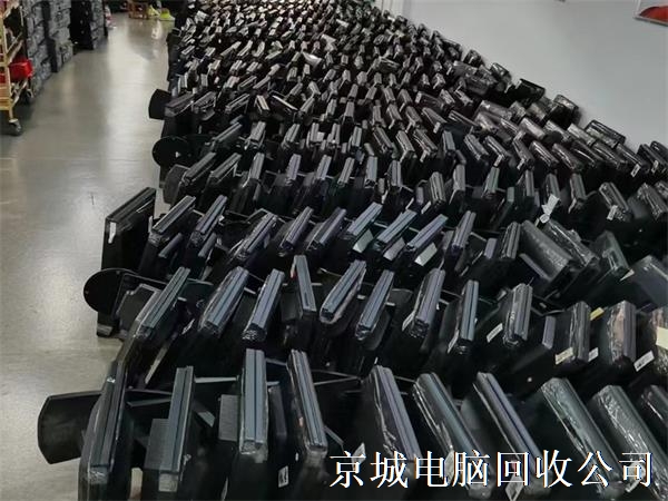 3405454.jpg 3405454.jpg